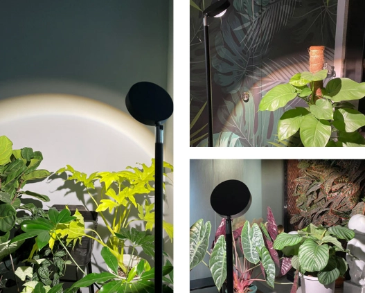 植物生長燈