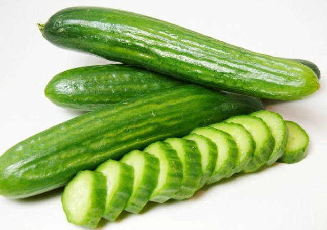 小黃瓜白斑防治 小黃瓜白斑防治