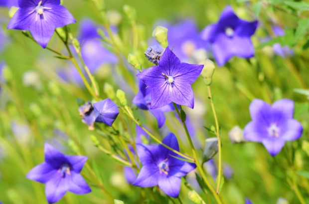 中心新村小吃 中心新村小吃