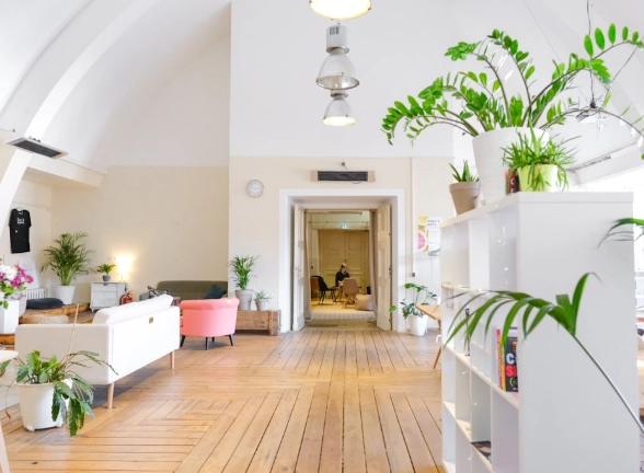 泥炭土使用缺點