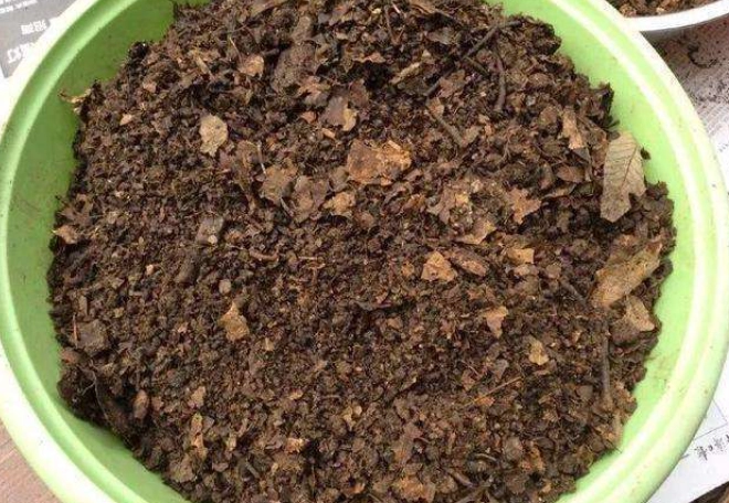 腐植土與泥炭土差異