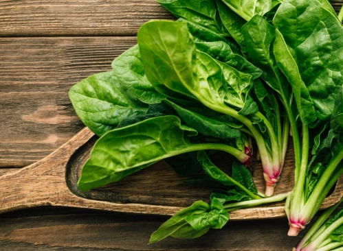 陽台種菜 陽台種菜