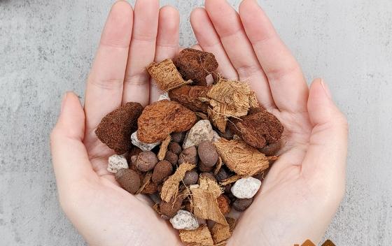 寵物飼養技巧 寵物飼養技巧