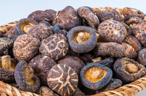 台灣 海關 乾香菇 規定