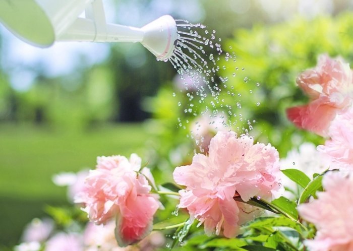 自製酸性水方法