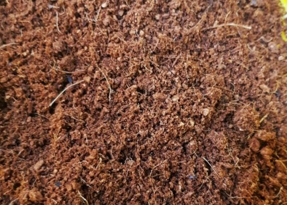 培養土太濕處理 培養土太濕處理