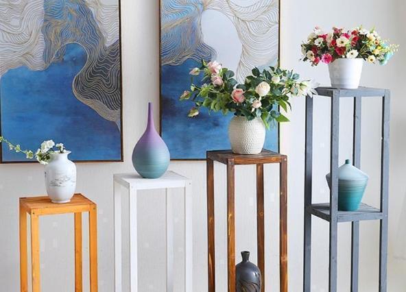 桌面植物選擇 桌面植物選擇