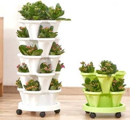 盆栽種菜土壤 盆栽種菜土壤