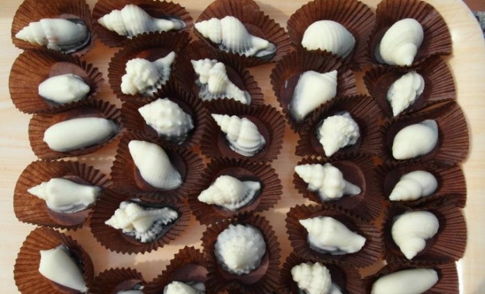 台灣貝殼進口法規 台灣貝殼進口法規