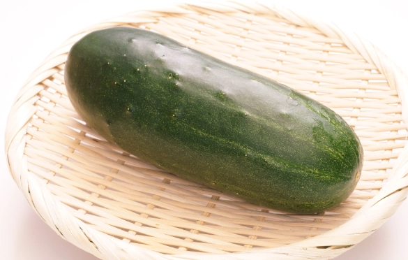 水果胡瓜病蟲害防治 水果胡瓜病蟲害防治