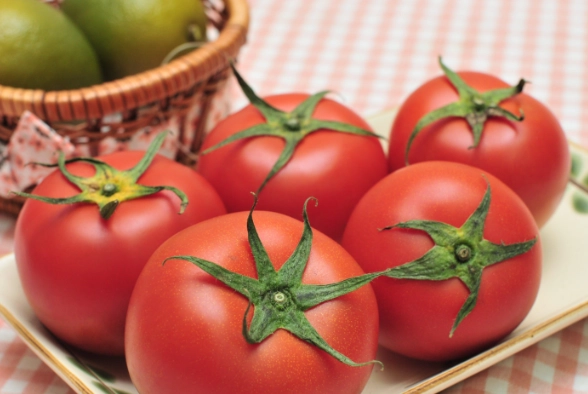 黑柿番茄整枝方法