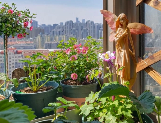 植物養根技巧 植物養根技巧