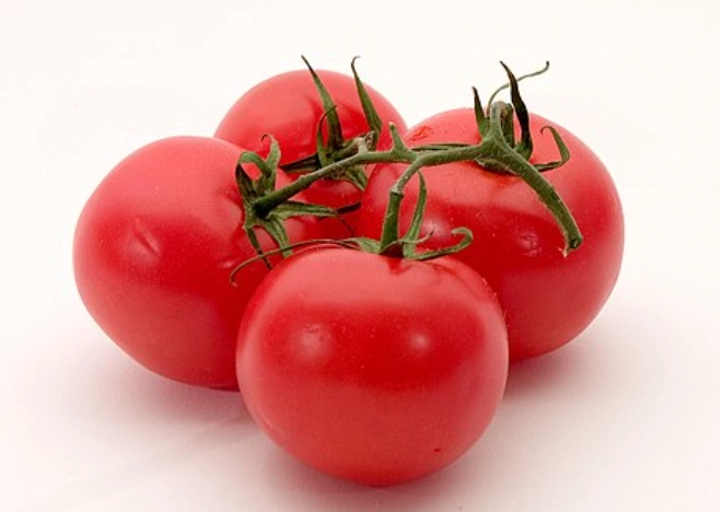 番茄結果方法 番茄結果方法