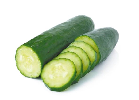 陽台蔬菜種植 陽台蔬菜種植