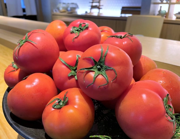 番茄種植時間 番茄種植時間