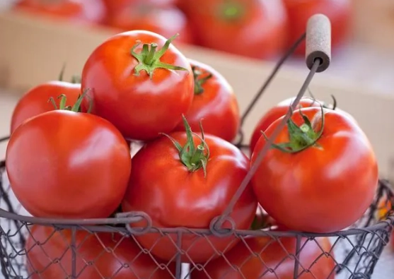 蕃茄營養價值