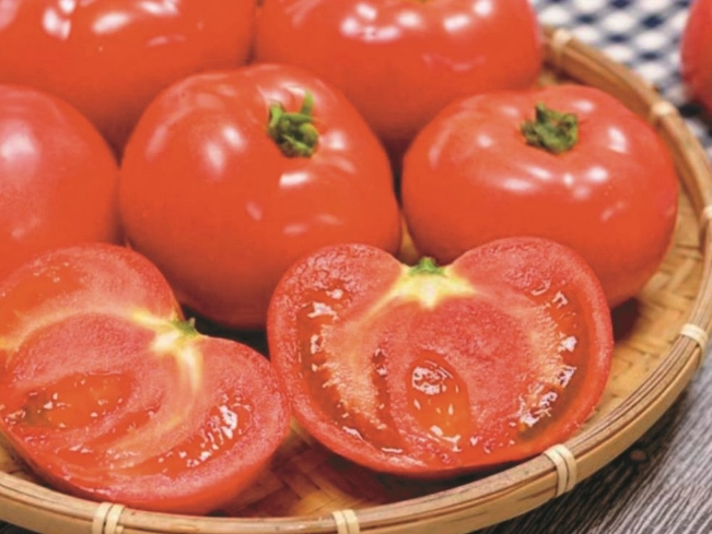 番茄病蟲害防治