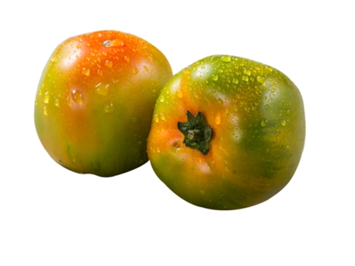 陽台種菜技巧 陽台種菜技巧