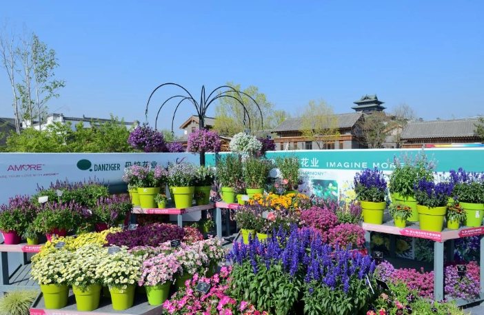 低維護戶外植物 低維護戶外植物