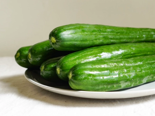 小黃瓜種植技巧 小黃瓜種植技巧