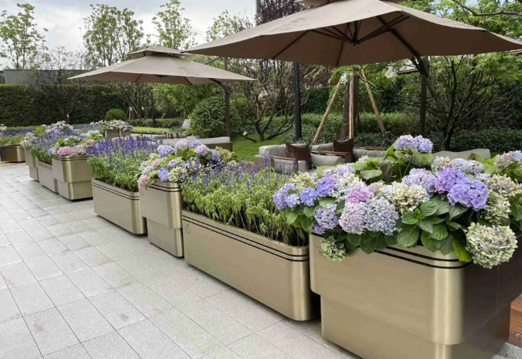 低維護戶外植物 低維護戶外植物