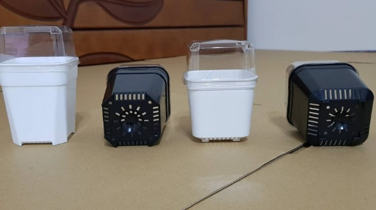 透氣盆栽推薦 透氣盆栽推薦