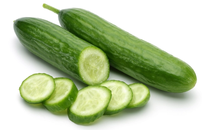 小黃瓜種子發芽 小黃瓜種子發芽