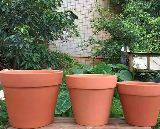 陶瓷盆栽DIY 陶瓷盆栽DIY