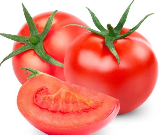 蕃茄種子發芽 蕃茄種子發芽