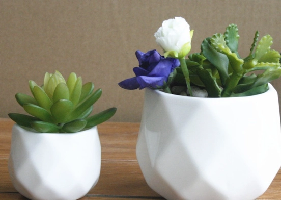 陶瓷盆栽養護方法 陶瓷盆栽養護方法