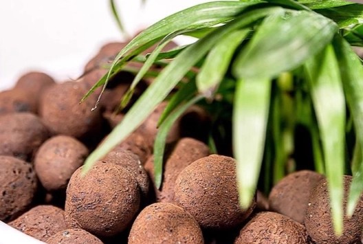 發泡煉石園藝使用