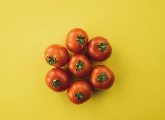 设施栽培技术 设施栽培技术