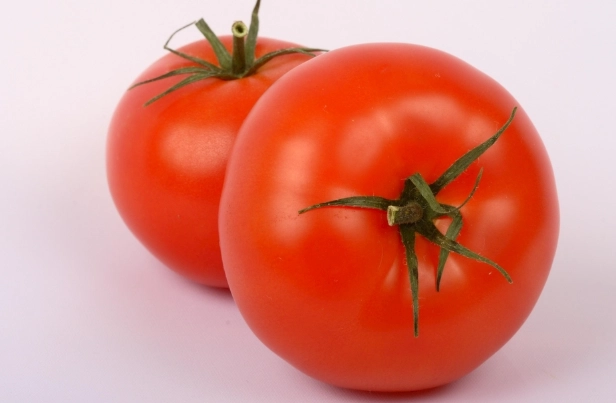 盆栽番茄技巧 盆栽番茄技巧