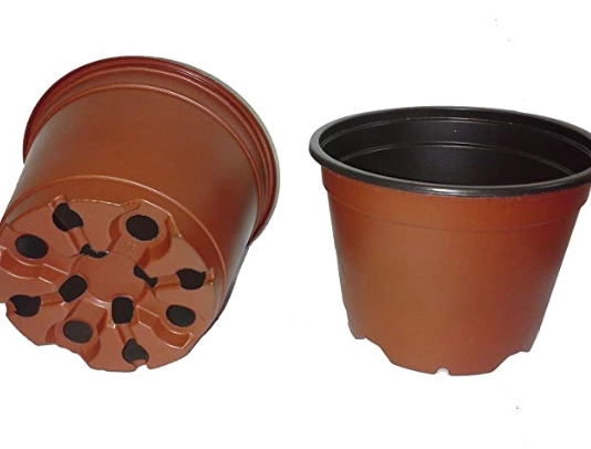 盆栽透氣方法 盆栽透氣方法