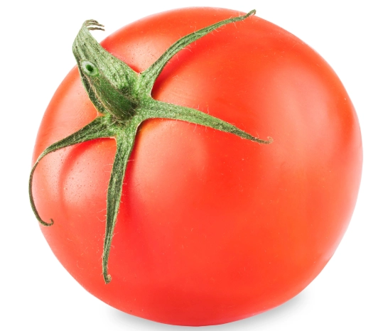 西紅柿種植技巧 西紅柿種植技巧