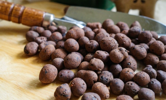 盆栽透氣方法 盆栽透氣方法