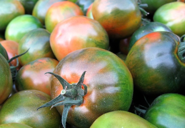 黑柿番茄整枝方法