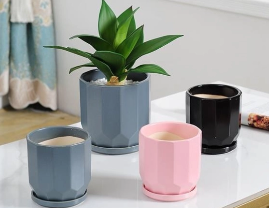 盆栽透氣方法 盆栽透氣方法