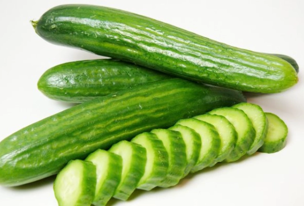 發芽黃瓜食用安全 發芽黃瓜食用安全