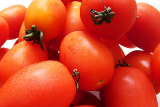 食物相剋拉肚子 食物相剋拉肚子