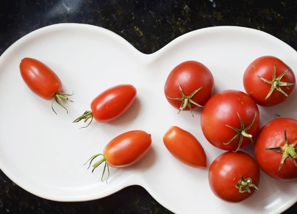 番茄結果期施肥