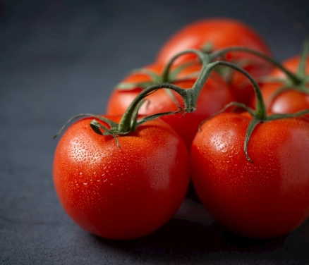 番茄營養價值 番茄營養價值