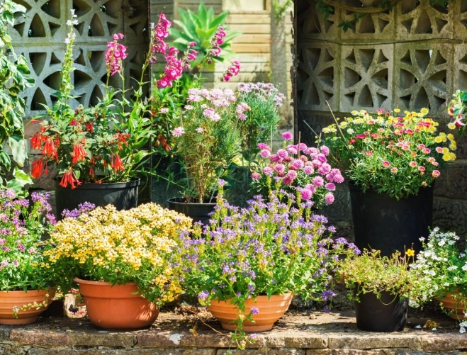 懶人花園設計 懶人花園設計