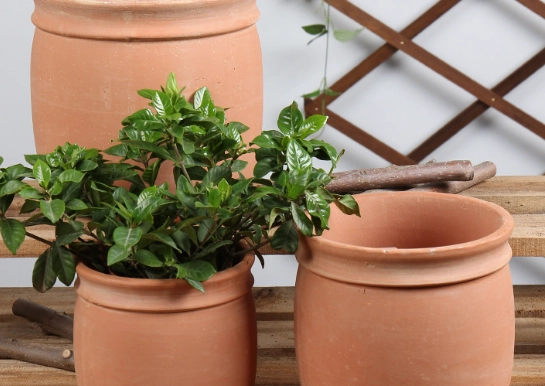 陶盆使用問題 陶盆使用問題