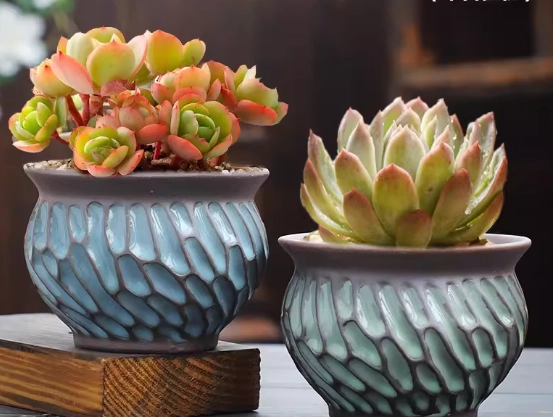 陶瓷盆栽推薦 陶瓷盆栽推薦