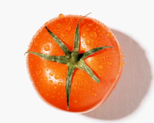 牛番茄施肥技巧