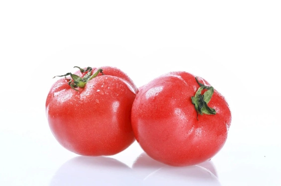 番茄种植肥料选择