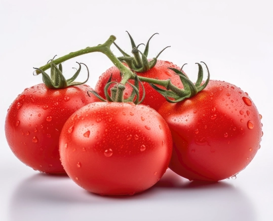 番茄病蟲害防治 番茄病蟲害防治