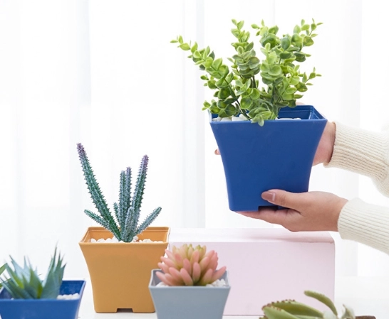 盆栽透氣方法 盆栽透氣方法