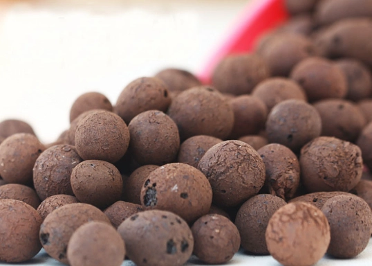 植物爛根處理 植物爛根處理